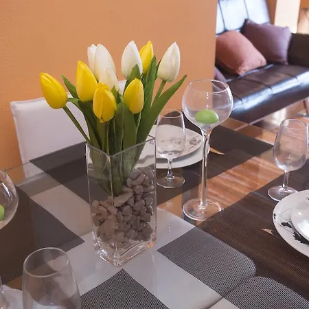 Apartamento Pardineiros *